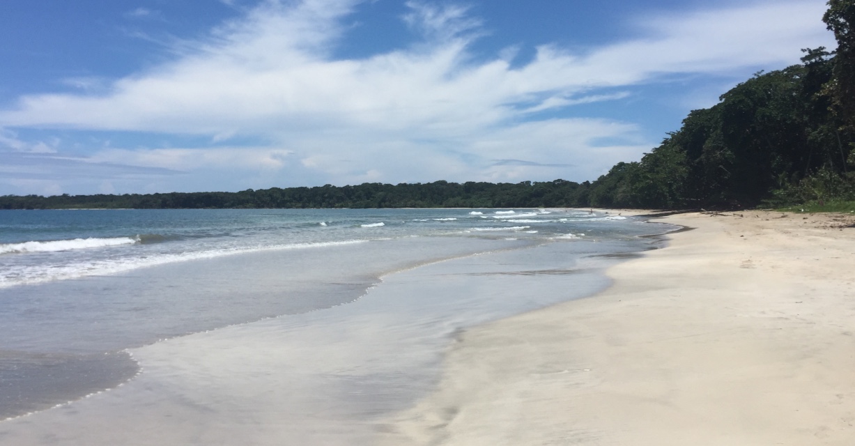 Cahuita national park beach