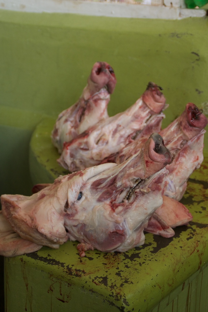 Pig heads in granada market