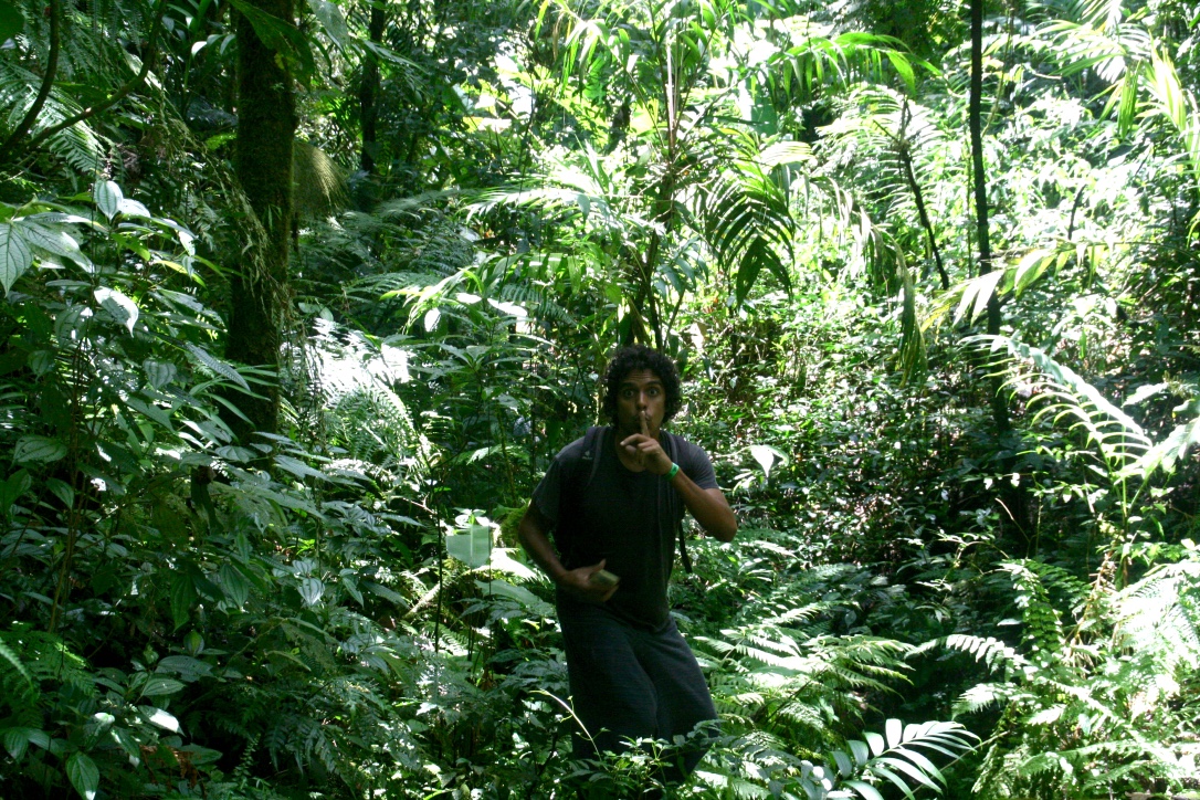 V be quiet in santa elena national park